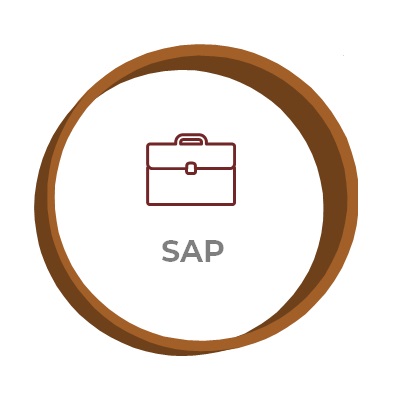 SAP FI, SAP CO, SAP MM, SAP HCM, SAP ABAP